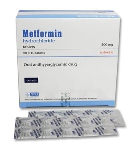 (★500정)메트포르민-COC 항암 프로토콜